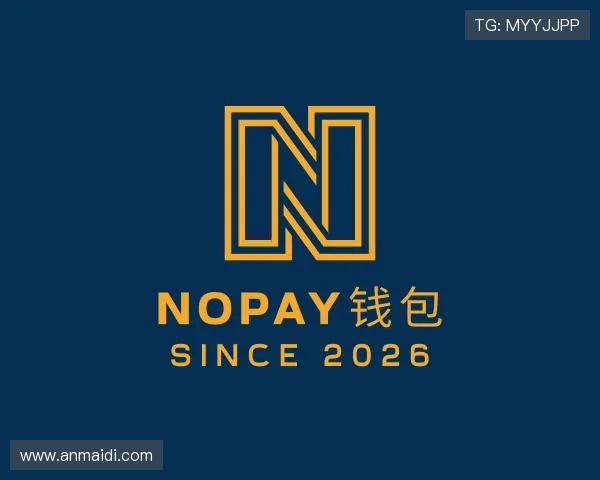 介绍NOPAY钱包